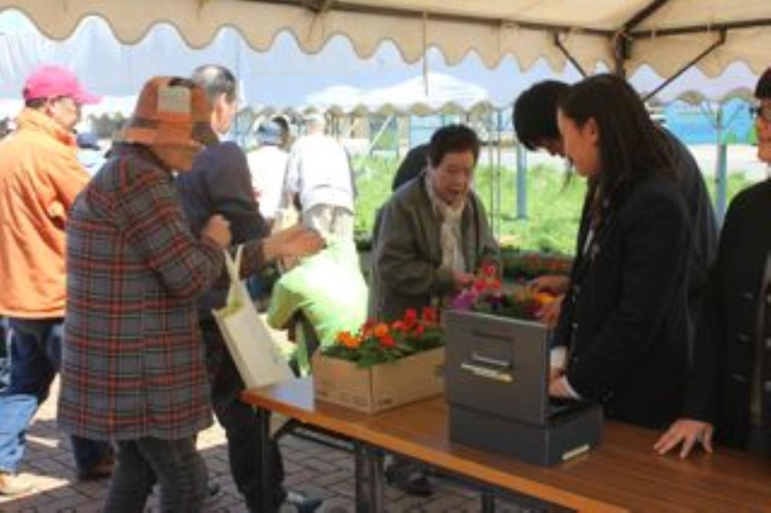 余市紅志高花壇苗即売会