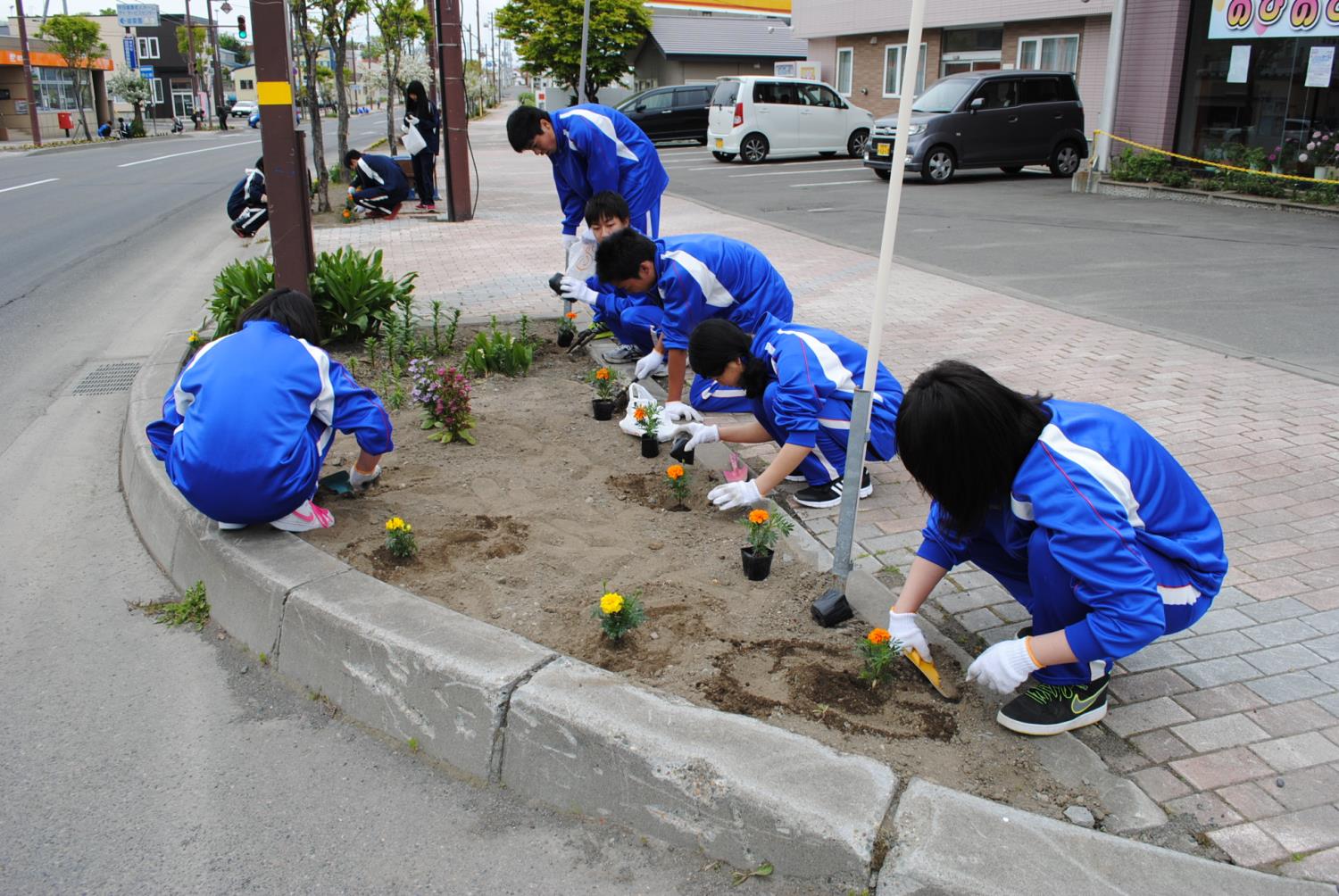 雄武高花植え