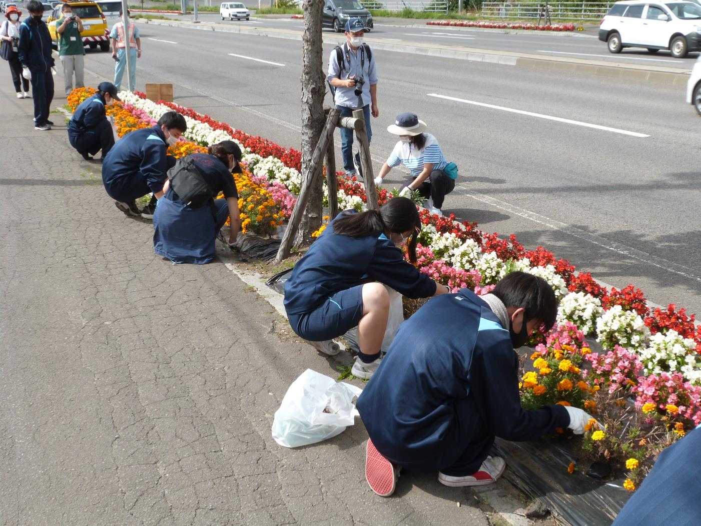 函館高等支援花いっぱい植樹帯整備