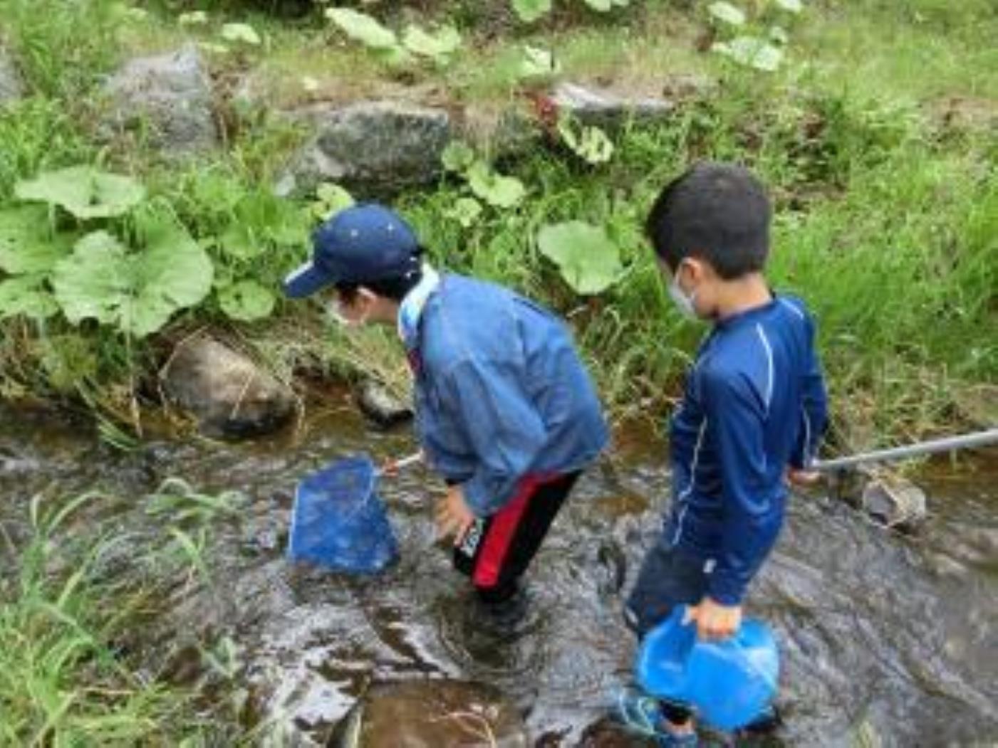 連載盤渓小どんぐり活動