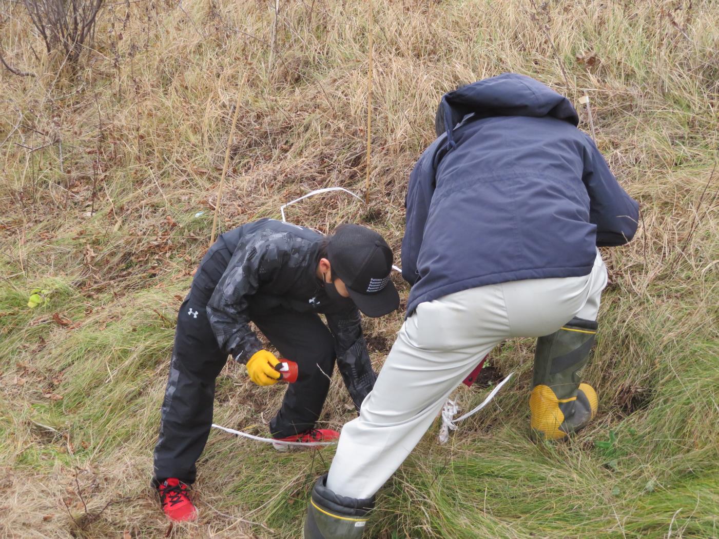 網走開建・白鳥台小種まき