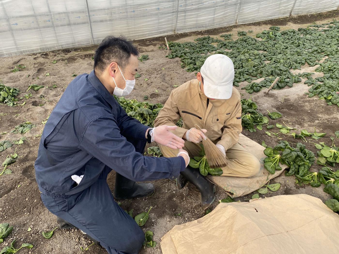 管内教育実践表彰受賞仲島教諭