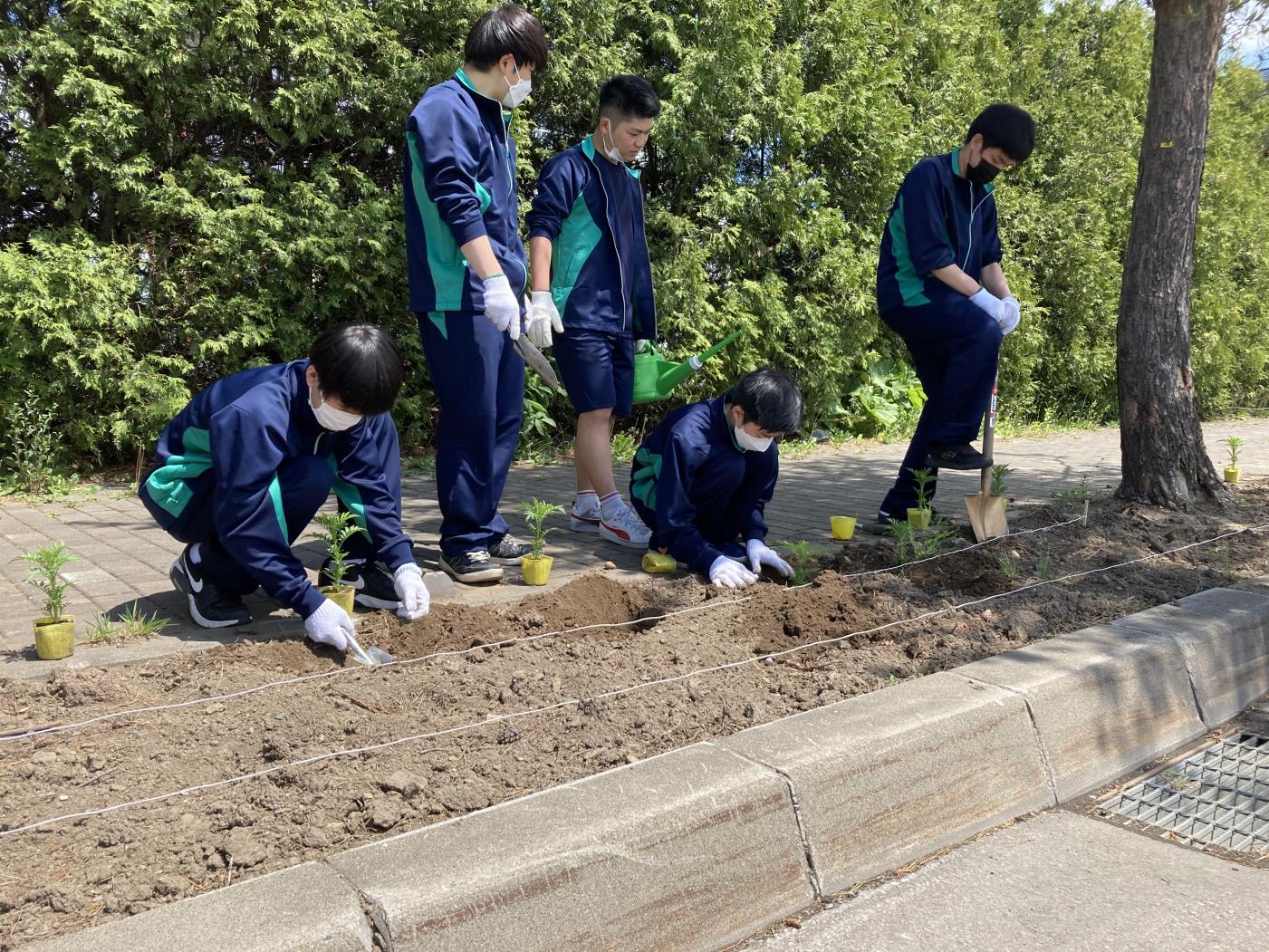 鷹栖高校花壇整備