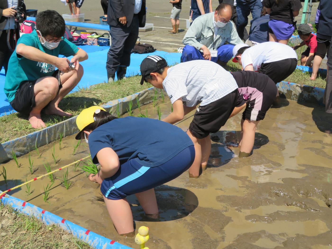 オホ総振西部耕地渚滑小田植え体験