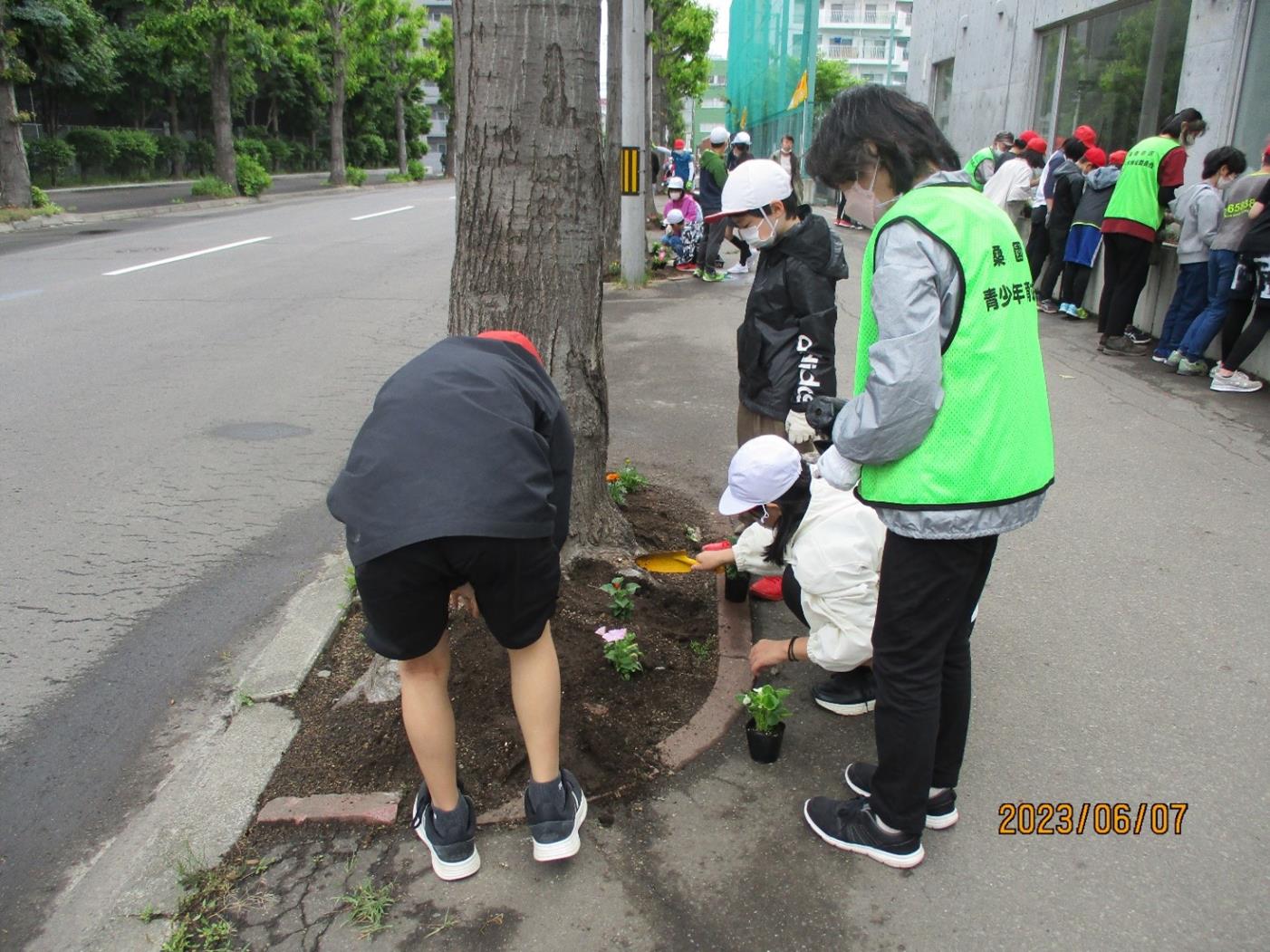 「校長室から」桑園小活動風景