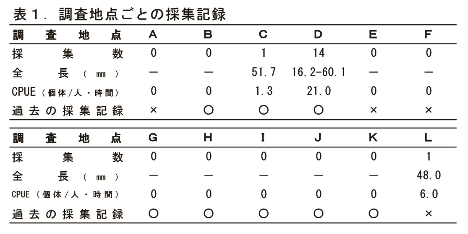 探究チャレンジ表