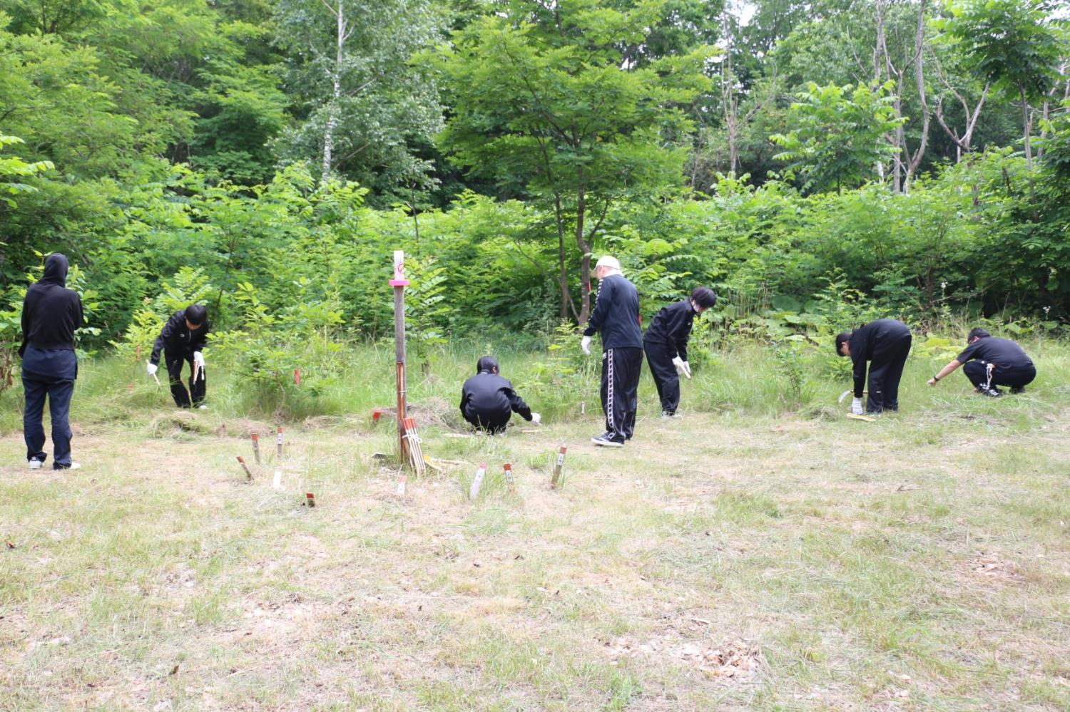 校長室から森林教室