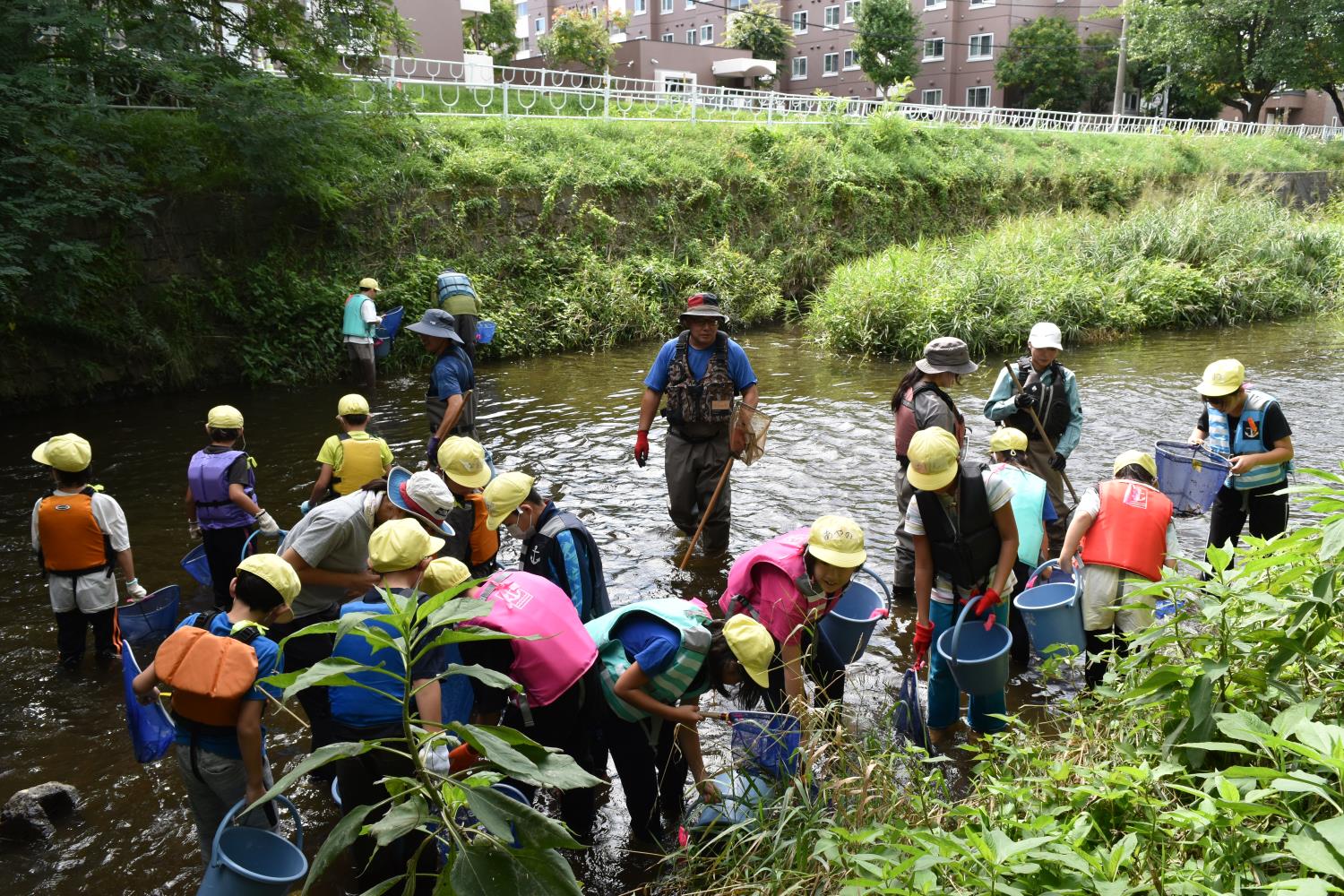 東白石小の環境学習