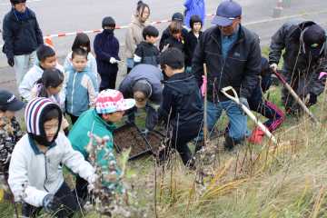 網走白鳥台小　地域行事に参加　来年きれいに咲いてね　国道沿いに育てた花苗植栽_画像＜1＞